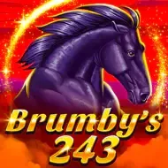 Brumby's 243 1spin4win game icon